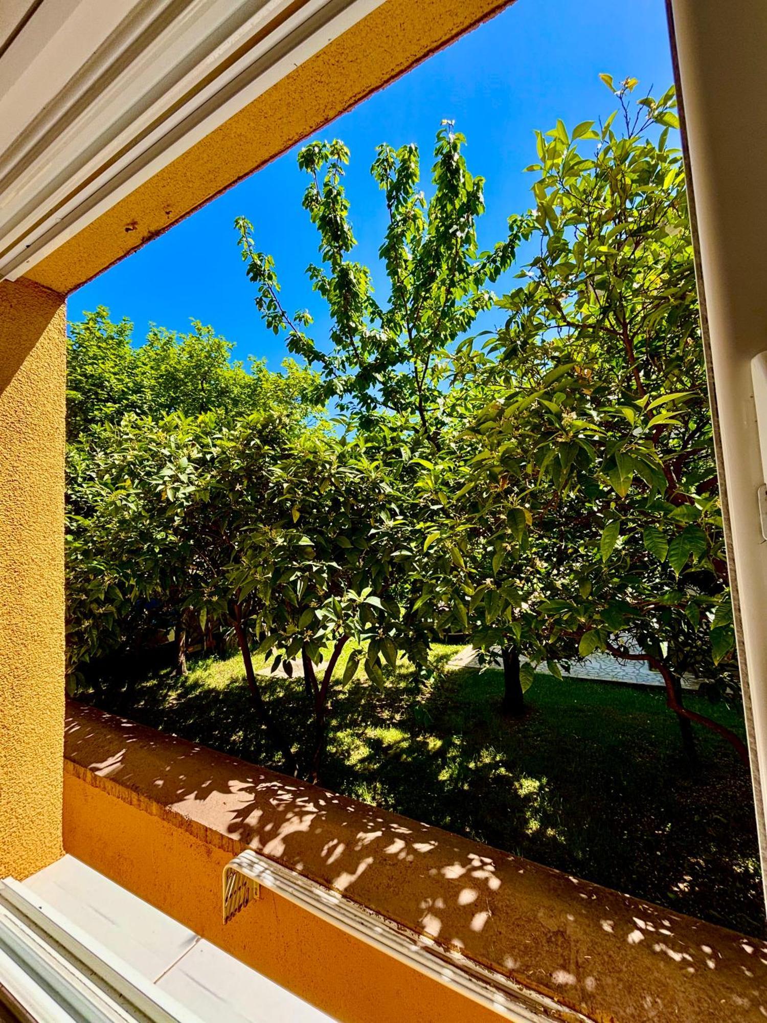 Apartments Ds Club Будва Экстерьер фото